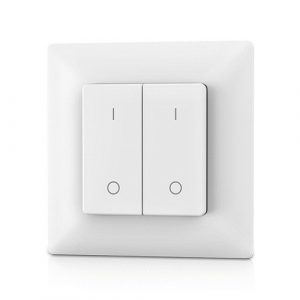 PF1-2 RF Remote Control, Single Color, 2 Zones | HS084523